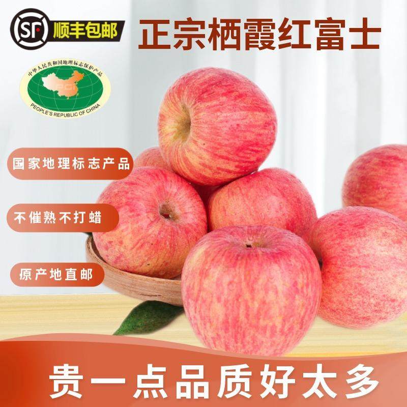 2025年烟台栖霞红富士苹果原产地直邮新鲜水果高端水果10斤装顺丰,水产肉类/新鲜蔬果/熟食,苹果,淘宝优惠券,粉丝福利购,淘宝优惠卷