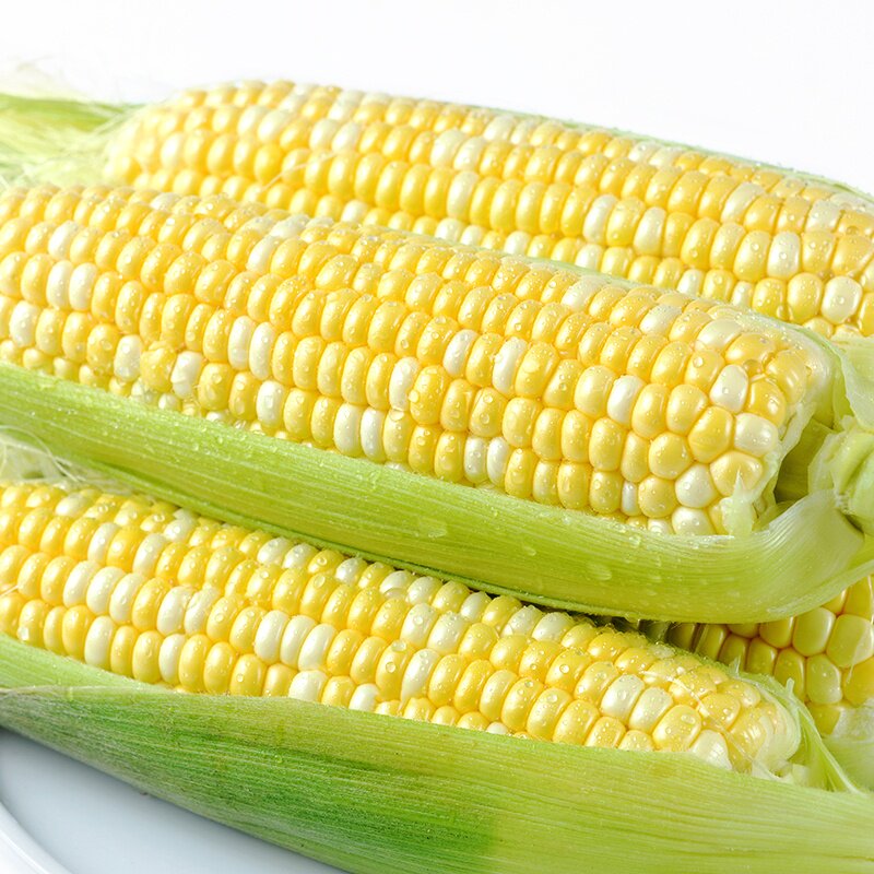 云南水果玉米新鲜甜玉米农家现摘即食生吃玉米棒新鲜10斤嫩脆包谷