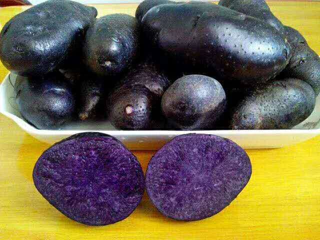 云南高原紫土豆新鲜农家自种现挖带泥紫心马铃薯紫芋洋芋净重5斤