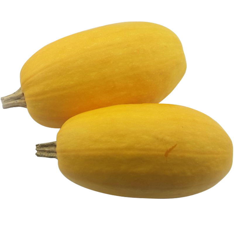 金丝沙漠瓜农家自种黄金色南瓜凉拌菜绞瓜搅瓜4斤新鲜现摘现发