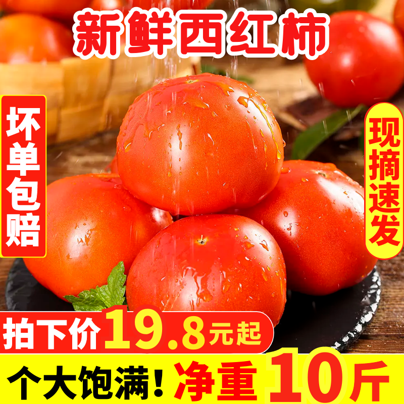 西红柿新鲜自然熟生吃沙瓤农家老品种普罗旺斯水果番茄大柿子10斤