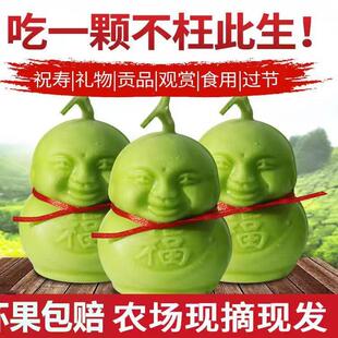 福娃新鲜人参果水果人参果娃娃果人形果长寿果礼品福娃