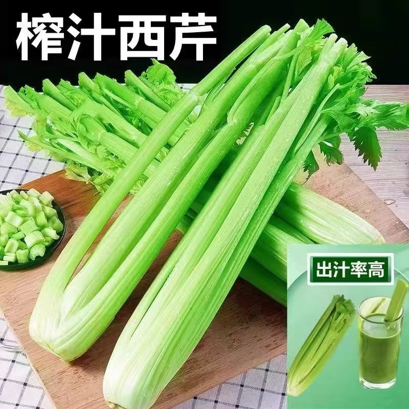 顺丰新鲜去叶西芹新鲜榨汁专用山东寿光去叶大芹菜现砍现发蔬菜脆