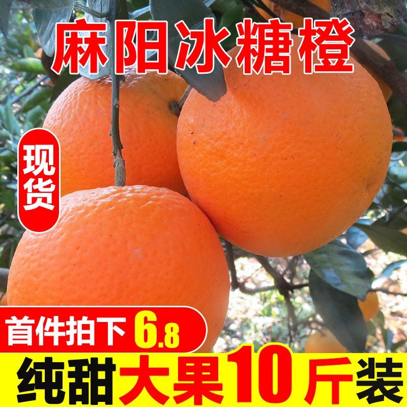 麻阳冰糖橙橙子10斤新鲜水果超甜应当季现摘甜橙整箱湖南手剥橙