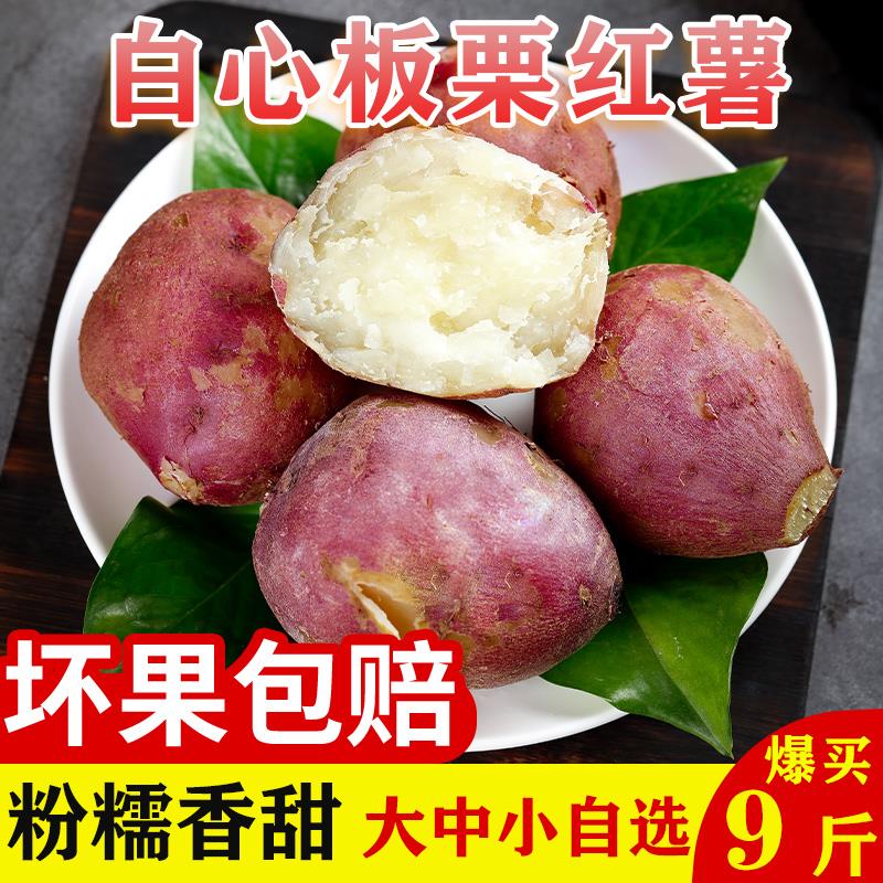 白心板栗薯新鲜红薯栗子香白薯白瓤地瓜红皮白心红薯干粉番薯9斤