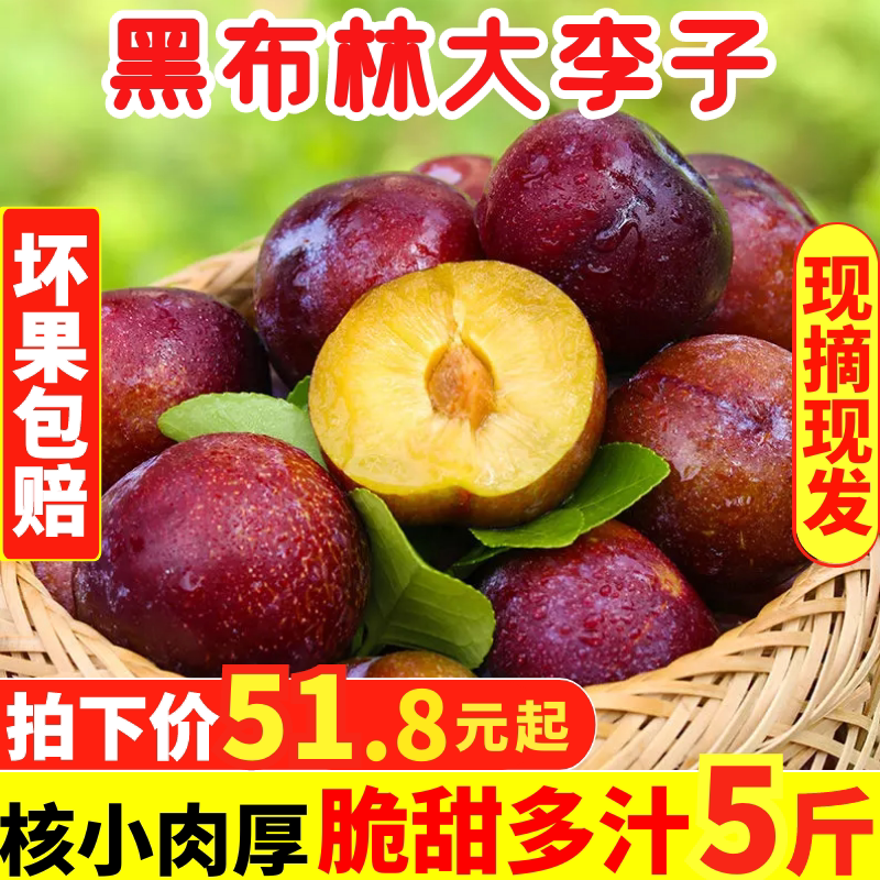 四川李子8斤新鲜应当季三华李水果脱骨李蜂糖李整箱李黑布林包邮