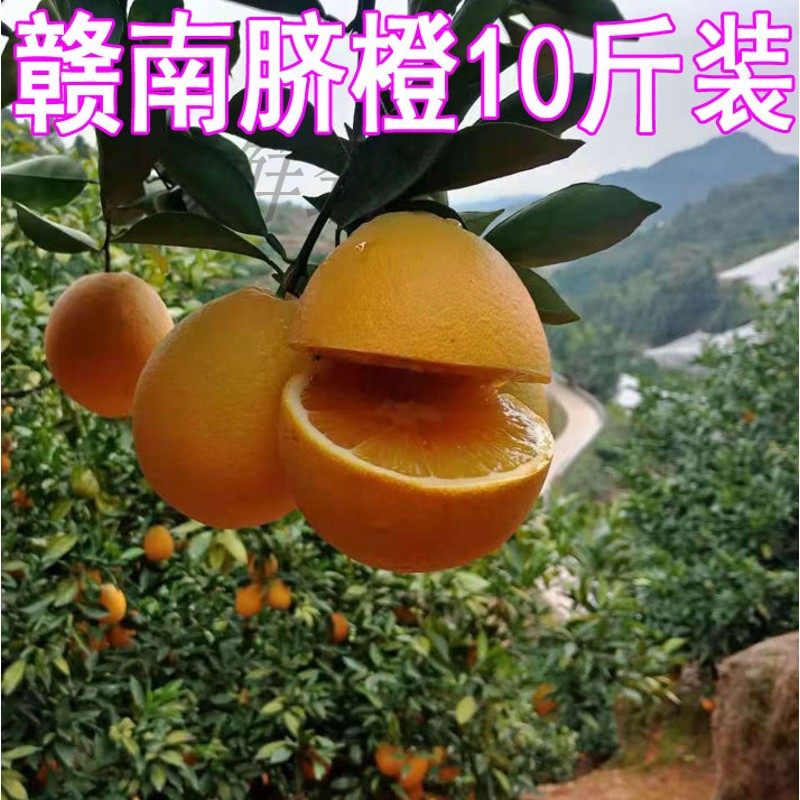 正宗赣南脐橙 新鲜水果脐橙现摘甜橙子带箱10斤装