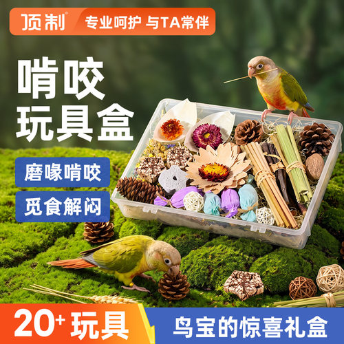 顶制鹦鹉藤球磨牙解闷玩具