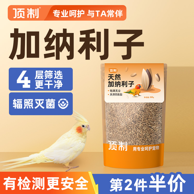 当季新货鹦鹉加纳利子营养饱满