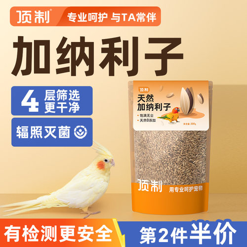 当季新货鹦鹉加纳利子营养饱满