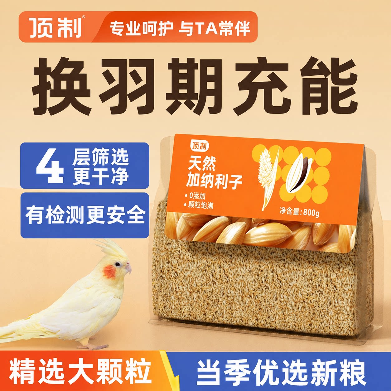 顶制加纳利子鹦鹉奖励零食图片