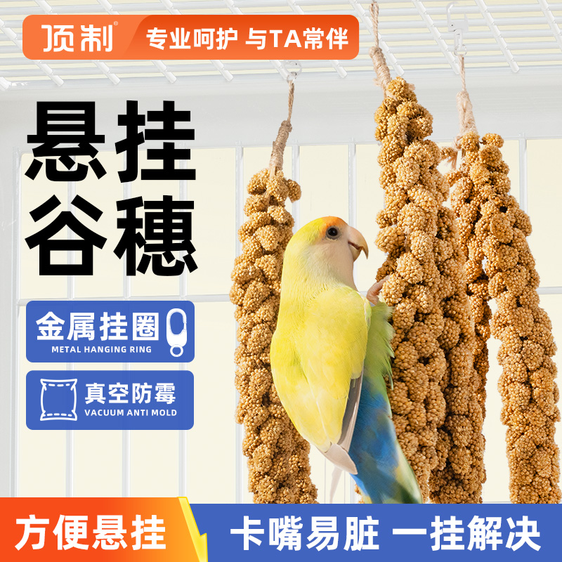 当季新鲜黄谷穗吊串鹦鹉解闷零食