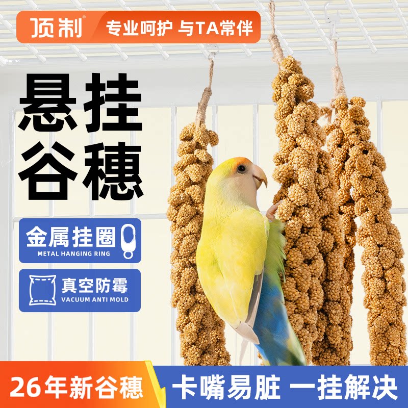 顶制鹦鹉谷穗黄谷子鸟粮零食麦穗玄凤虎皮牡丹小太阳学吃专用鸟食