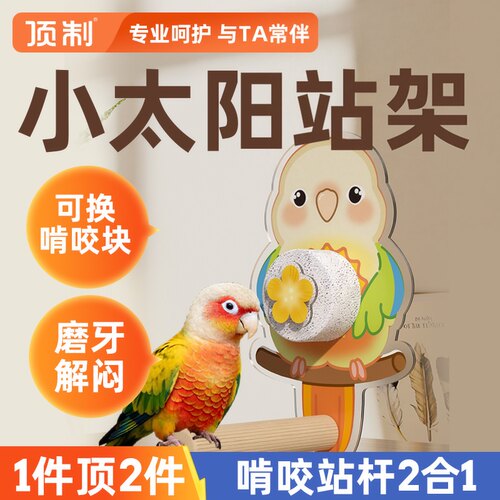 小太阳鹦鹉专用站架鸟笼装饰悬挂