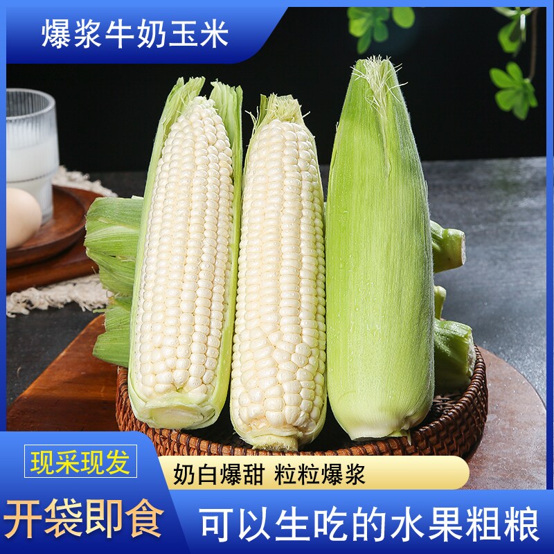 爆浆水果玉米爆浆即食可生吃现摘