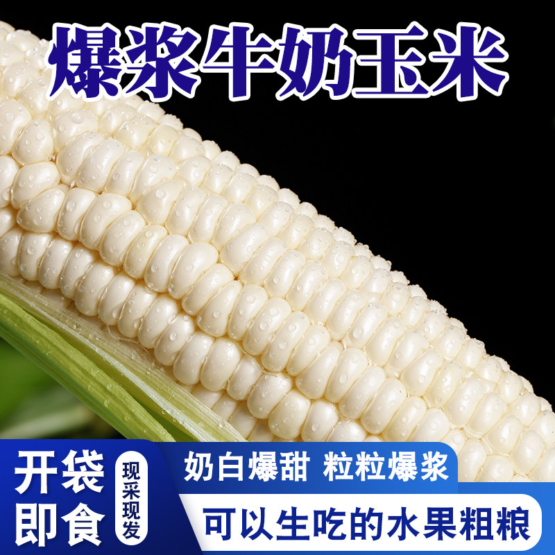 爆浆冰糖牛奶玉米现摘可生吃即食