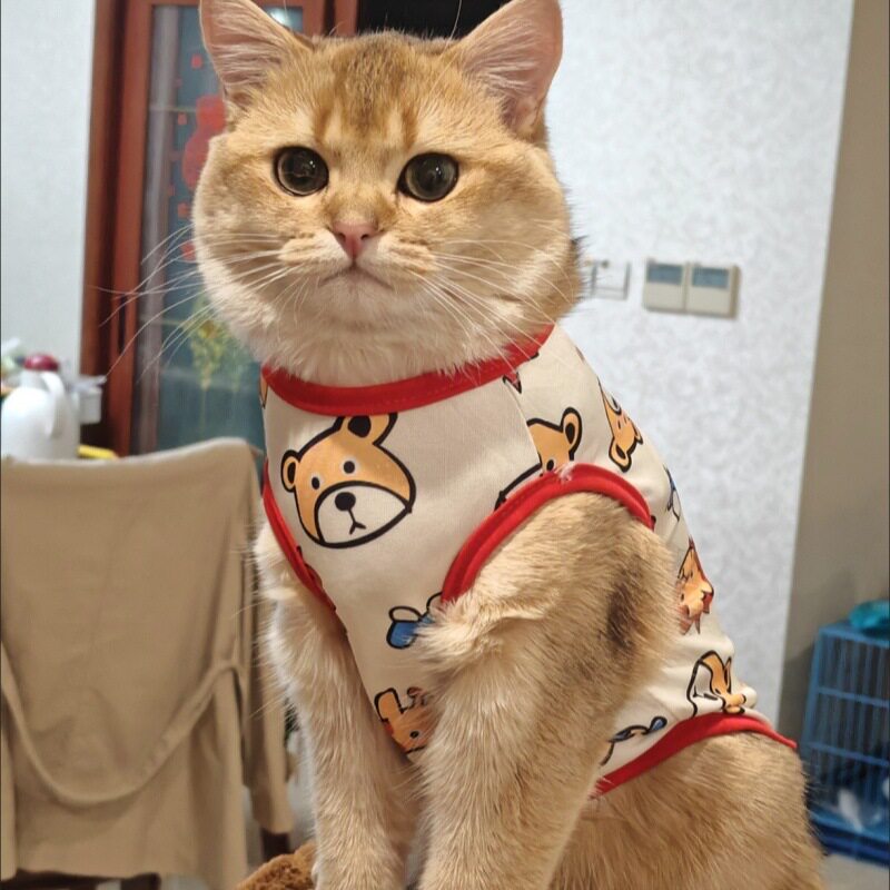 猫咪衣服夏季薄款防掉毛夏天宠物小狗外出服幼猫小猫可爱透气背心