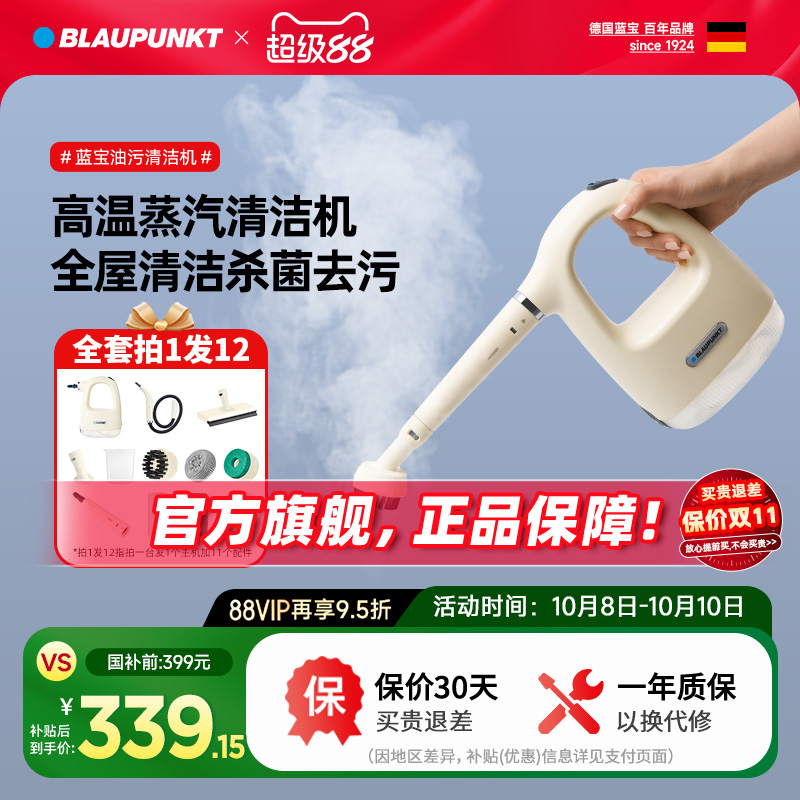 德国蓝宝高温高压蒸汽清洁机家用小型厨房空调家电油烟消毒清洗机