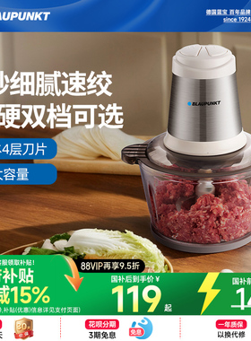 德国蓝宝绞肉机家用电动小型多功能料理机绞馅菜搅拌打碎肉新款