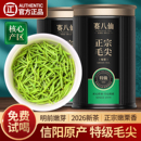 赛八仙2026新茶毛尖茶叶信阳绿茶明前特级嫩芽A浓香型散装 毛尖茶