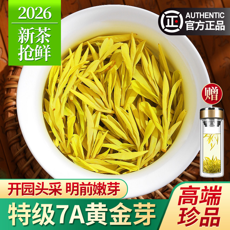 2026新茶黄金芽茶叶珍品7A特级头采明前绿茶安吉奶白茶礼盒装500g