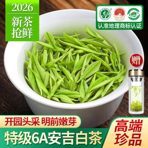 安吉白茶特级明前珍品头采芽茶叶
