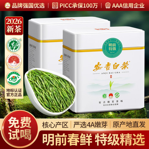 安吉白茶2026新茶特级明前绿茶叶
