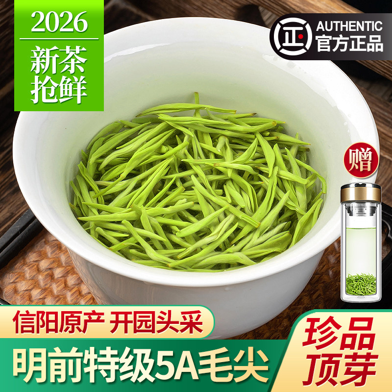 珍品毛尖茶叶2026新茶信阳绿茶明前5A特级嫩芽浓香型春茶散装500g