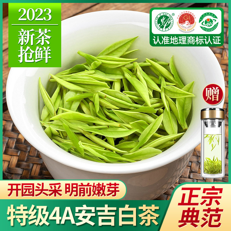 2023新茶正宗安吉白茶特级4A明前嫩芽绿茶白茶散装茶叶礼盒装500g