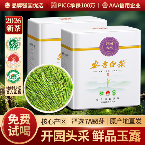 安吉白茶2026新茶头采7A特级茶叶
