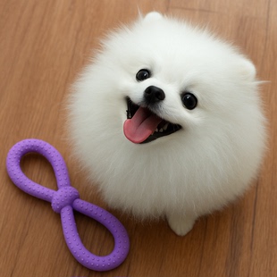 狗狗宠物磨牙洁齿玩具无害撕扯拉扯玩具