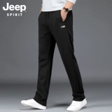 Мужской утепленный джип, демисезонные штаны, свободный прямой крой, оверсайз