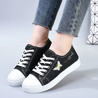 Бабочка холст