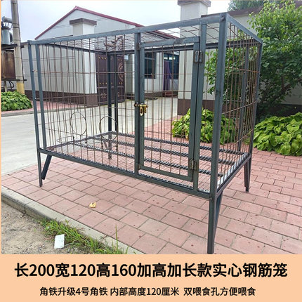 狗笼中大型犬实心钢筋金毛马犬防撞咬狗笼狗场养殖基地特价包邮