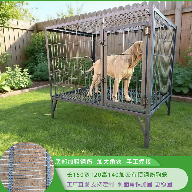 &狗笼中大型犬实心钢筋金毛马犬防撞咬狗笼狗场养殖基地特价包邮