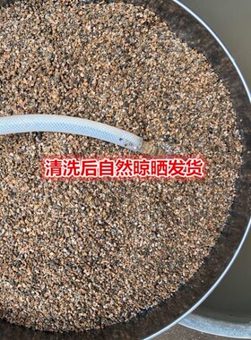 粒大颗养花盆栽颗花栽培炉渣煤炭渣疏松a1fe0833煤蜂窝煤碳灰渣粒