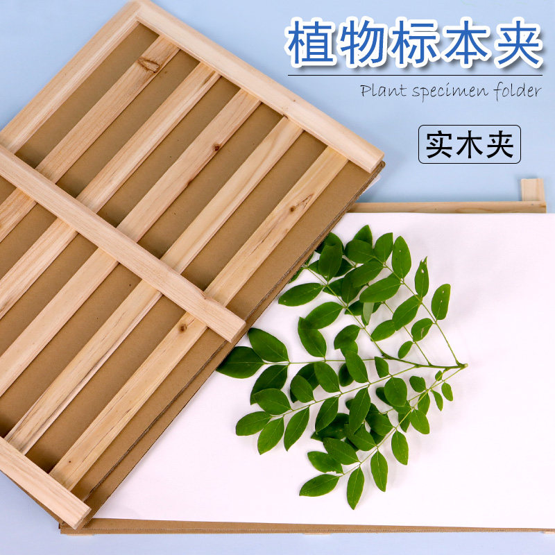 松木植物标本夹小号大号全套腊叶压制标本制作材料工具树叶植株夹板