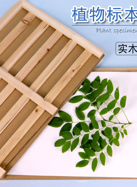 植物标本夹腊叶标本制作工具