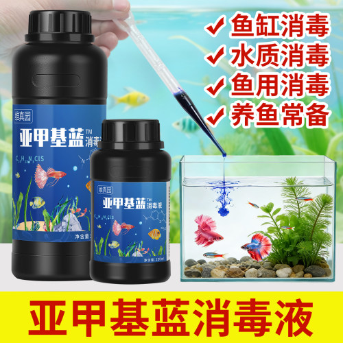 亚甲基蓝水族专用水霉消毒剂溶液