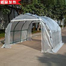 芽苗菜小h暖房普通防冻5阳台花棚1