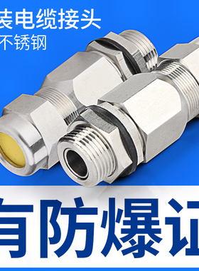 304不锈钢防爆铠装格兰头电缆密封接头BDM防水紧固M型穿线填料函