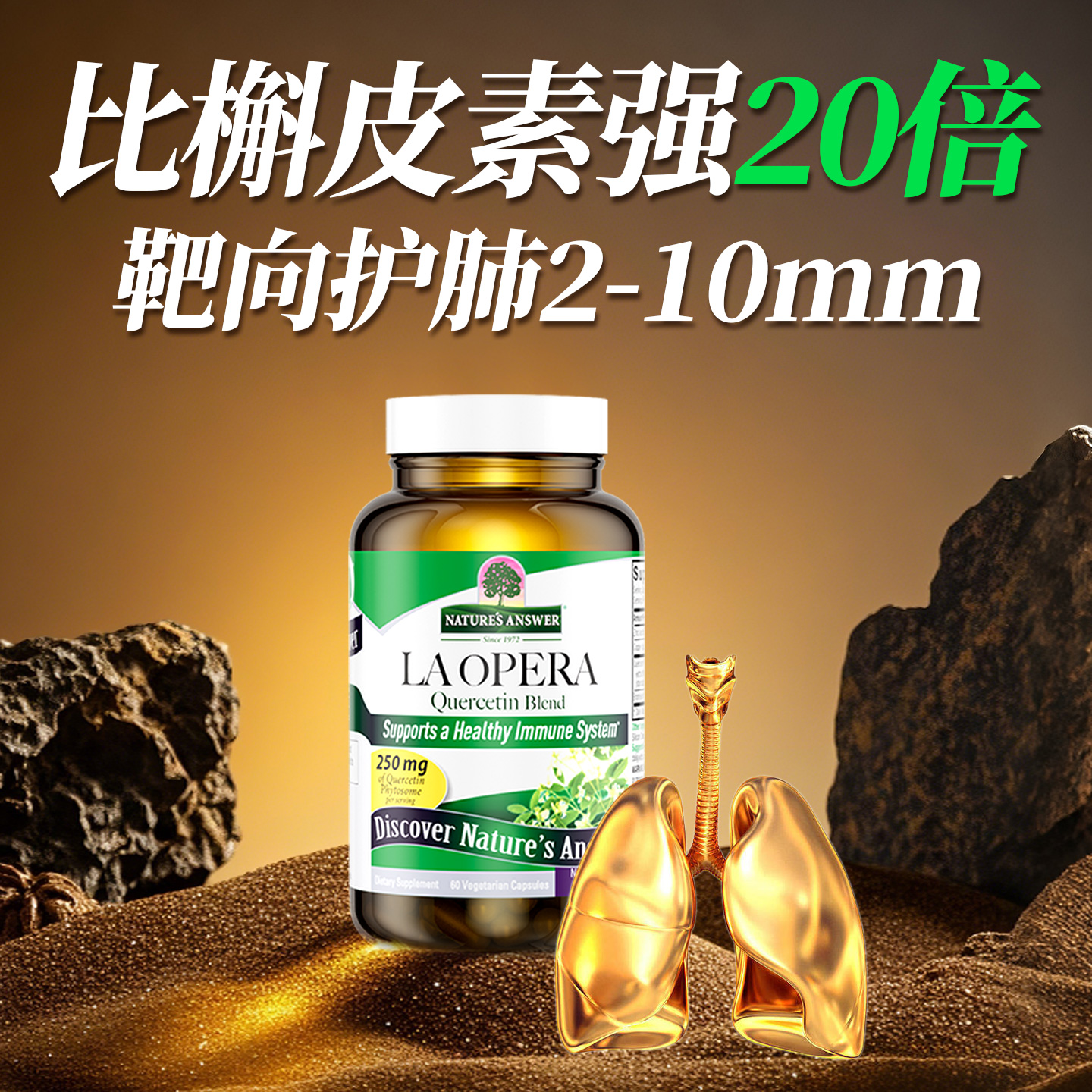 好分贝槲皮素20倍肺动力美国进口