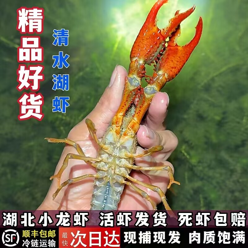 品鄂生鲜顺丰3斤456钱小龙虾活虾