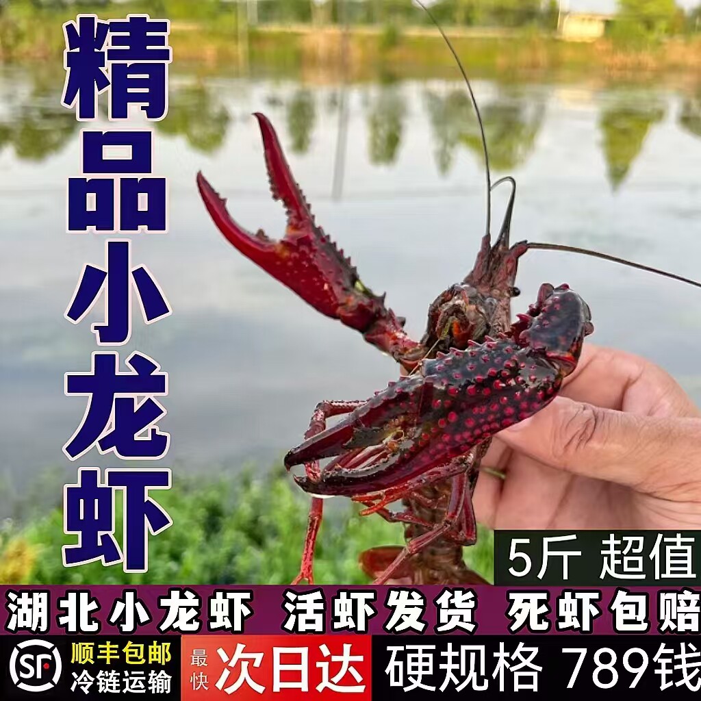 品鄂生鲜5斤789钱湖北清水鲜活虾