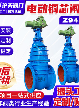 电动硬密封铜芯闸阀Z945T硬密封明杆闸阀球墨铸铁污水排污闸阀