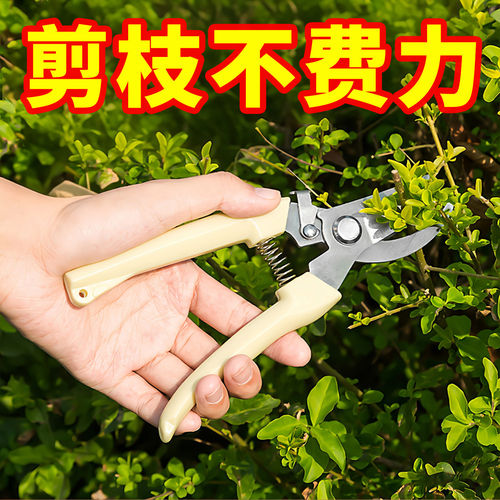 园艺剪修枝剪花剪园林剪刀花艺剪