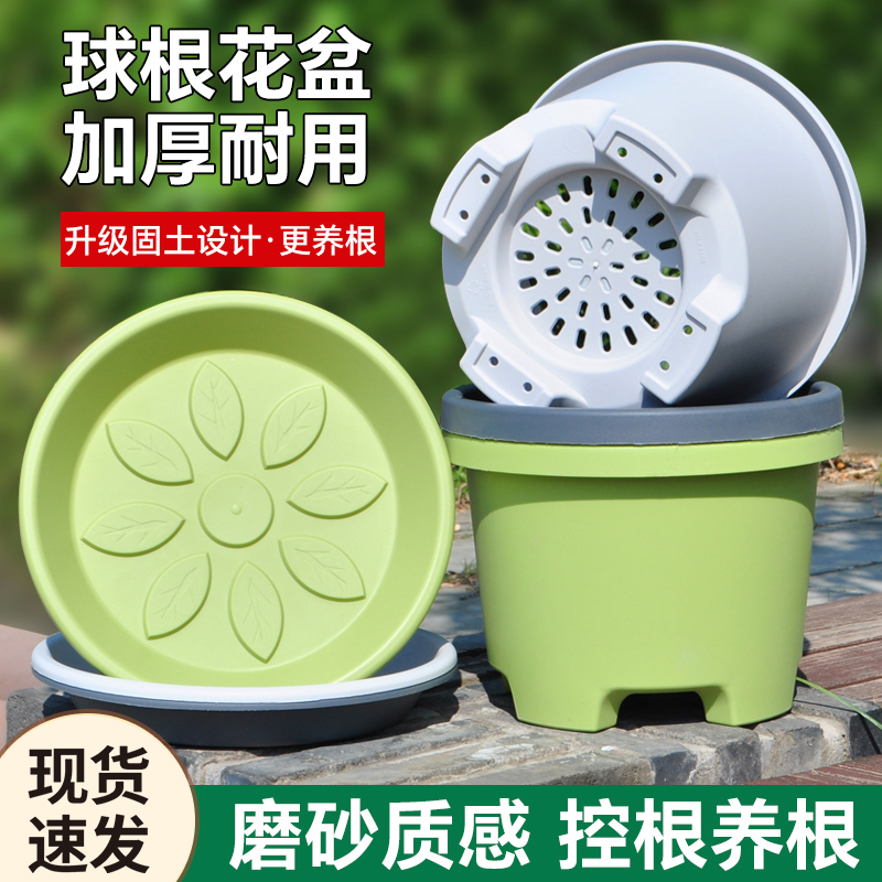加厚矮款树脂花盆塑料透气球根郁