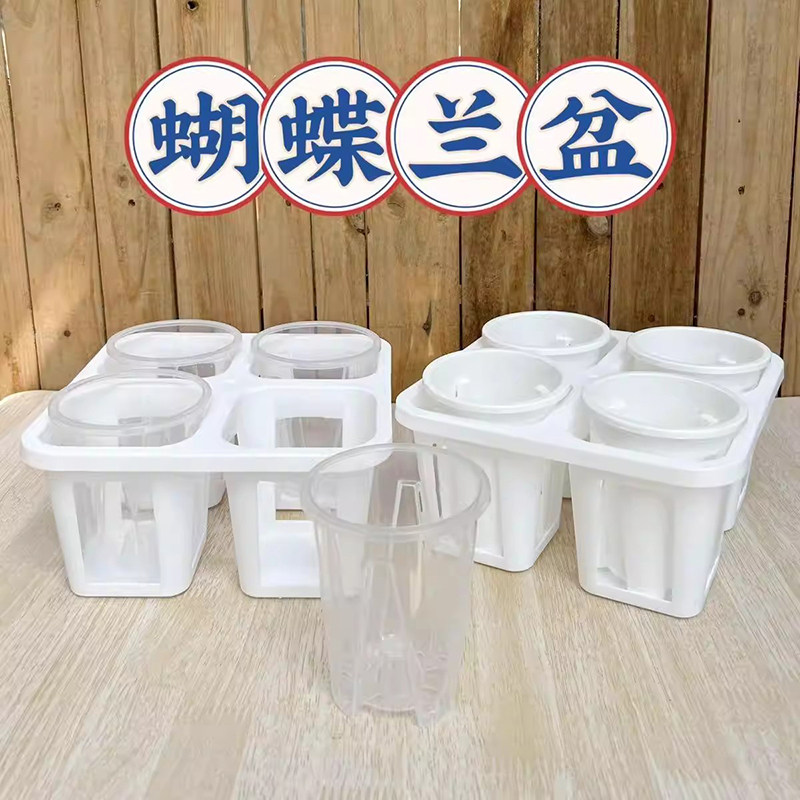 2.8寸蝴蝶兰盆托架四格花盆托盘蝴蝶兰盆组合整理托盘透明控根盆