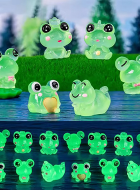 微景观可爱夜光王子公主卡通青蛙