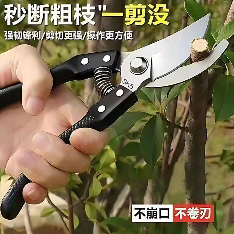 剪刀果树剪刀修枝剪花剪树枝果树图片